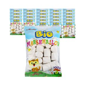 빅 머쉬멜로우 100g x 24개[32929881]