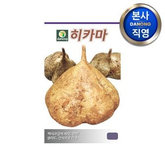 다농 히카마 (얌빈) 씨앗 10g . 원예 야채 채소 텃밭 멕시코 맥시코 감자 씨 종자