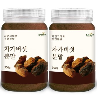 동의한재 최상품 러시아 차가버섯 분말 가루 300g x 2개