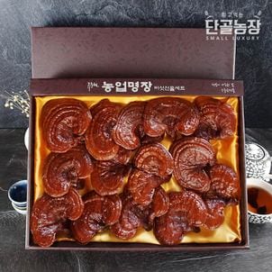 프레시데이 [바로배송]류충현버섯명장 편각영지버섯 고급선물세트 500g