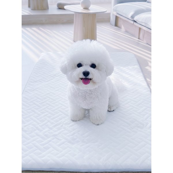 확대된 대표 Main Image