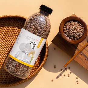 캐나다 렌틸콩 렌즈콩 브라운렌틸콩 930g