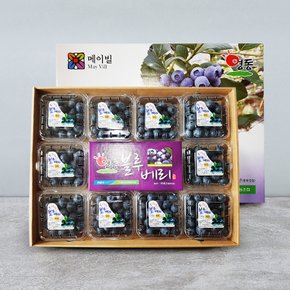 영동 블루베리 생과 선물세트(특)1kg