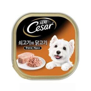 시저 주식캔 100g 1개 쇠고기와 닭고기