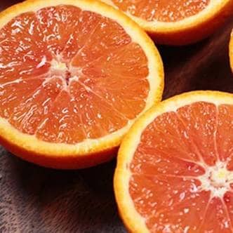 철따라농산물 자몽을 닮은 고당도 점보 카라카라 오렌지 레드오렌지 3kg내외 10과