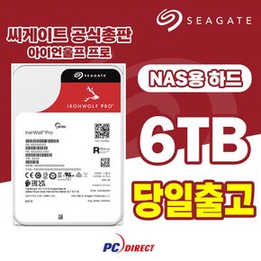 아이언울프프로 6TB NASHDD 하드디스크 HDD 내장하드 ST6000NT001