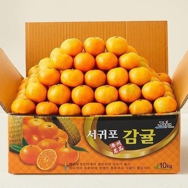 수플린 [산지직송] 제주 고당도 타이벡 감귤 4.5kg (소과 12Brix이상)