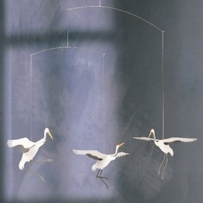 학춤 - Crane Dance