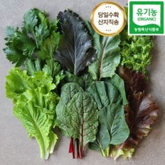 맛군 [맛꾼] 당일수확 유기농 모듬 쌈채소 1kg(랜덤3종)