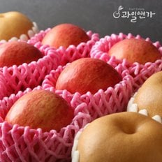 [과일선물세트] 사과배혼합세트 6kg2호(사과6개,배6개)