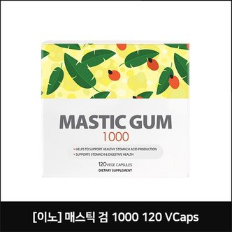 네이쳐굿 이노 매스틱 검 1000 120 VCaps