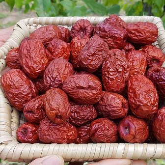 친환경팔도 [산지직송] 보은 햇 건대추 1kg(26mm)