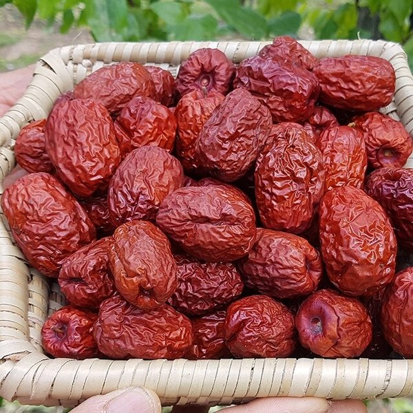 [산지직송] 보은 햇 건대추 1kg(26mm)