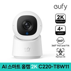 AI 스마트 홈캠 2K SoloCam C220-T8W11 CCTV 300만화소 홈카메라 펫캠 가정용