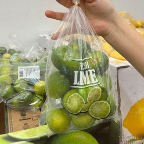 트레이더스 프레쉬 라임 1kg
