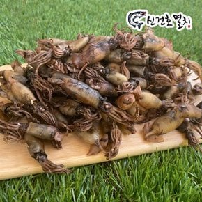 국산 먹꼴뚜기 500g / 먹물꼴뚜기 건조꼴뚜기 꼴뚜기