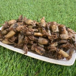 국산 먹꼴뚜기 500g / 먹물꼴뚜기 건조꼴뚜기 꼴뚜기