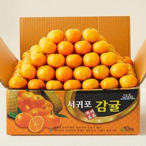 [산지직송] 제주 고당도 타이벡 감귤 2.5kg (소과 12Brix이상)