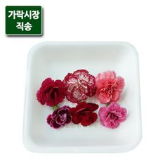 팸쿡 가락시장직송 미니카네이션(6송이/식용)