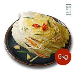 국내산 소양강 맑은 백김치 5kg