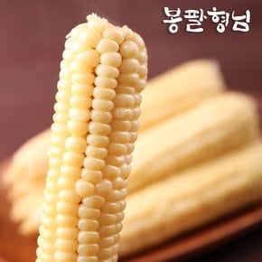 국산 찰옥수수 (10개) 햇 미백옥수수