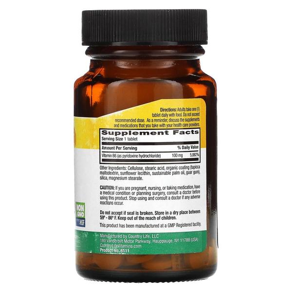 [해외직구] 컨트리라이프 비타민 B6 100mg 100정 Country Life Vitamin B6 100 mg 100 Tablets