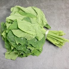 철따라농산물 국내산 햇 호박잎 1단 380g 내외