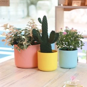 샤베트화분 저면관수 인테리어화분 분갈이화분 (3호)
