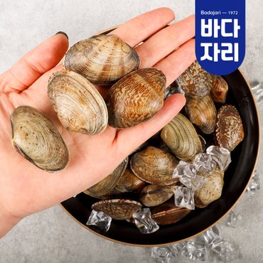 바다자리 당일어획 남해안 다이버 왕 바지락 1kg / 3kg