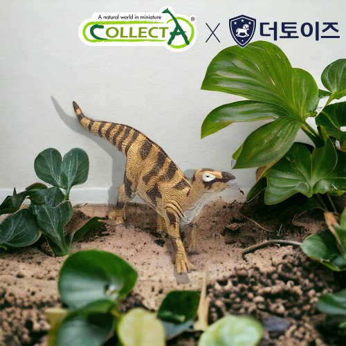 상품이미지4