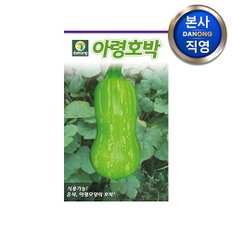 아령 호박 씨앗 10립 . 야채 채소 텃밭 파종 재배 주말 농장 씨 종자