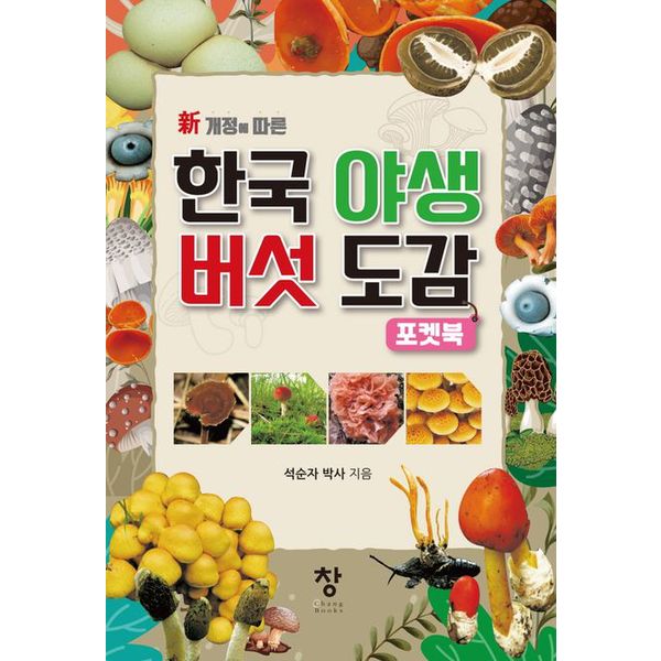 확대된 대표 default