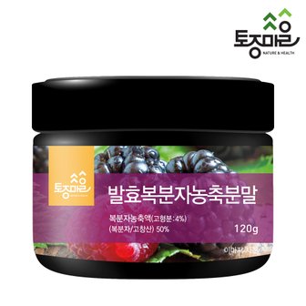 토종마을 발효복분자농축분말 120g (국산 복분자_고창산)