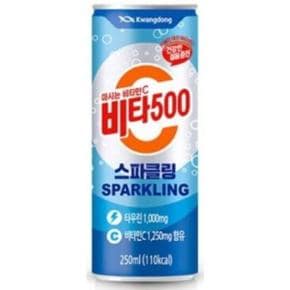 광동 비타500 스파클링 250ml(캔) x 48개 ..