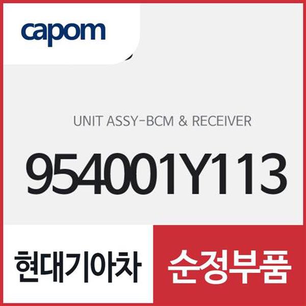 BCM & 리시버 유니트 (954001Y113) 모닝