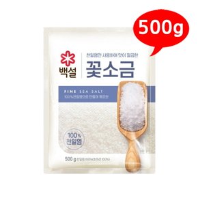 [CJ] 백설 꽃소금 500g