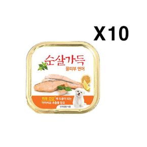 통조림 연어 순살가득 사료통조림 반려견통조림 꿀피부 강아지 X10 100g