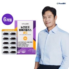 눈 건강엔 빌베리 플러스 골드 루테인지아잔틴 빌베리추출물 베타카로틴 6박스 6개월