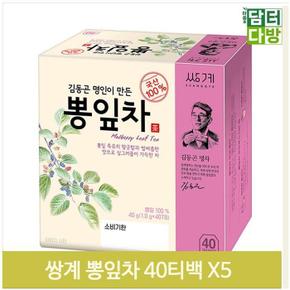 김동곤명인 뽕잎차 40티백X5 사무실 탕비실 티타임 (S9379442)