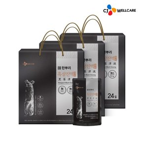 [CJ공식] 한뿌리 흑삼진액 제로(50ml*24입) 3박스