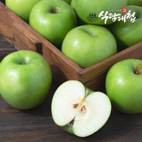 경북 썸머킹 여름 풋 청사과 1.5kg (15과내) 한입