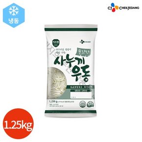 CJ 이츠웰 쫄깃한 냉동 사누끼 우동 250g x 5개