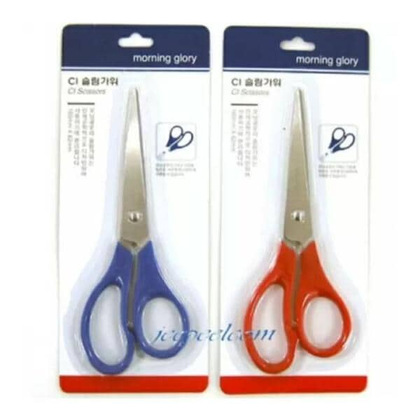 확대된 대표 IMAGE1