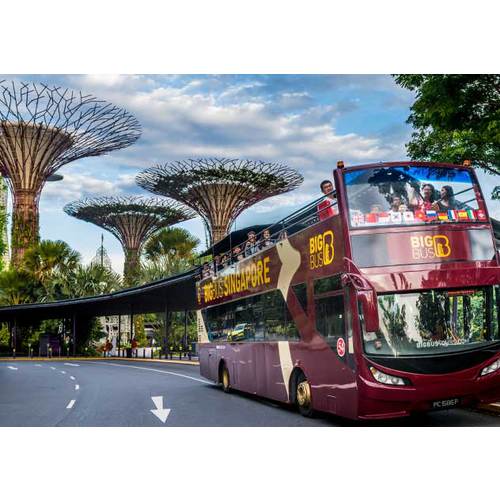 Big_Bus_Tours_Singapore_passing_Gardens_By_The_Bay_desktop_2_0Nwj6Oz_kbFsF8g.jpg