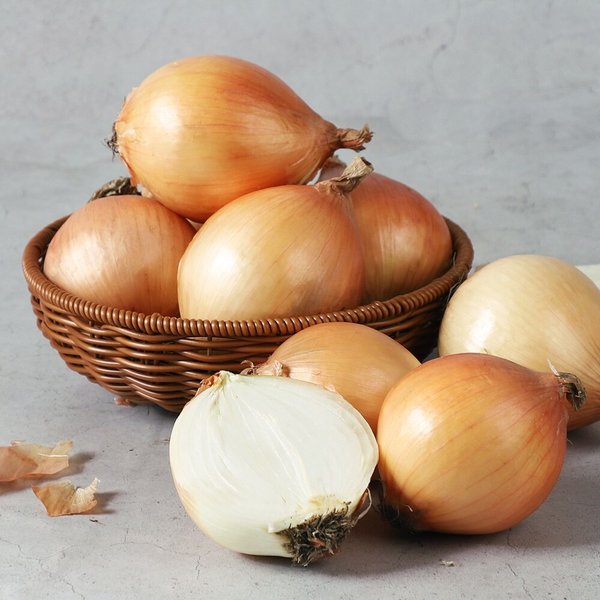 [농협청과33번] 양파 2kg - 중