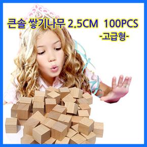 (큰솔교육)큰솔2.5cm쌓기나무100pcs(미송) 펜토미노 카프라 가베 큰솔정육면체 소마큐브