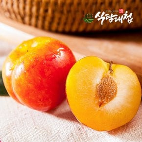 국내산 자두 대과 1kg 개당80-90g