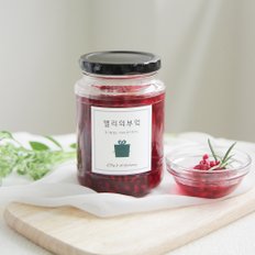 (무료포장)과일청 500g 선물세트