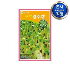 새싹 경수채 씨앗 12g . 교나 친환경 무농약 무소독 채소 수경 재배 씨 종자