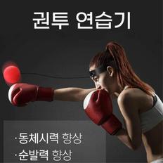 권투 복싱연습 펀치연습 순발렬 잡중력 실내스포츠 격투기 펀칭볼 초등 체육 동체시력